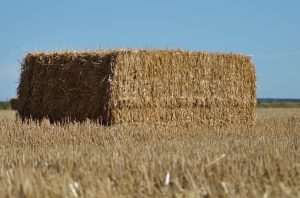 Grande balle de foin carrée dans un champ